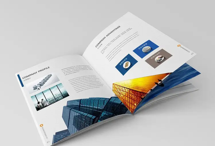 logo设计/招商画册、PPT/网站丨开发/商业计划书/产品